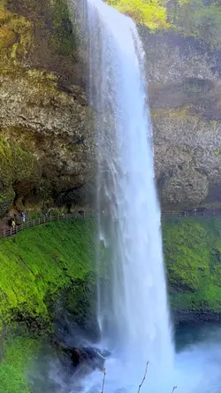 Waterfalls Template