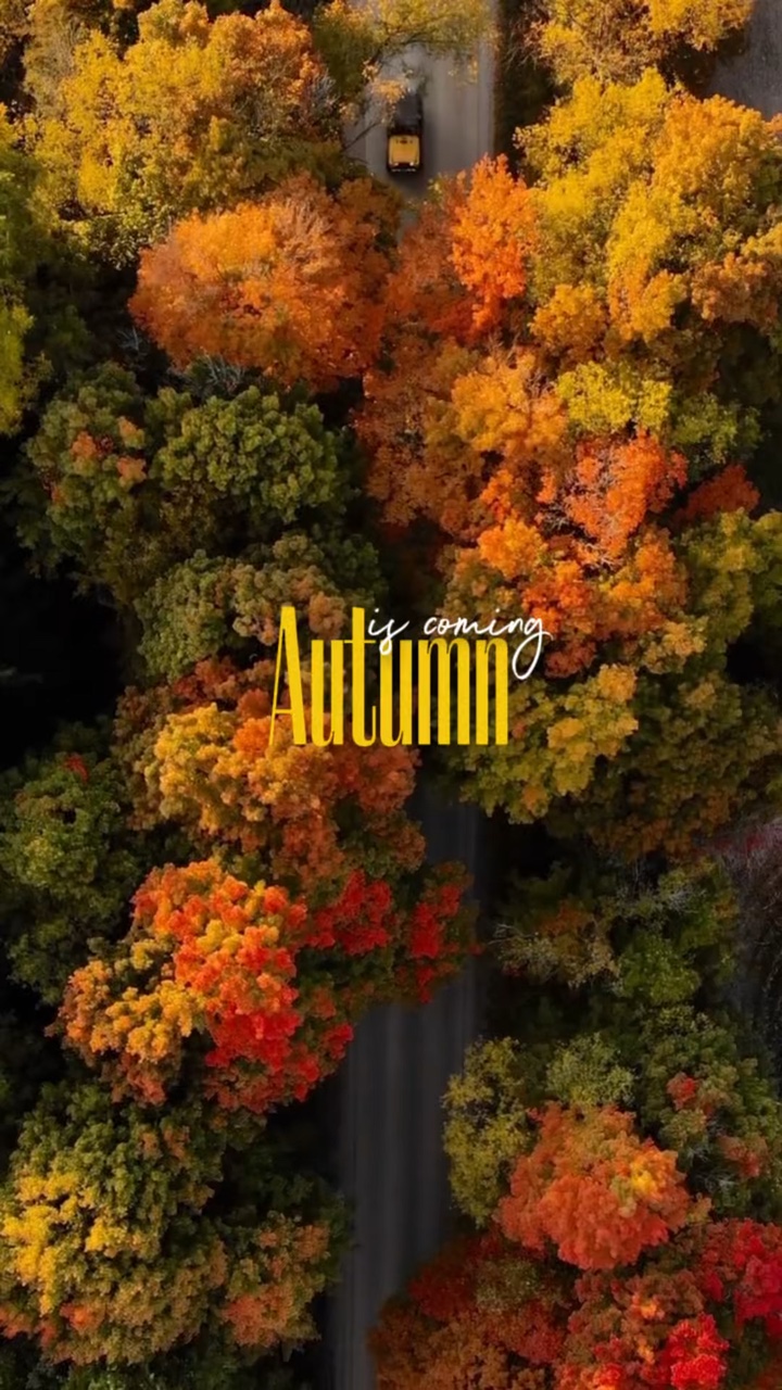 Der Herbst kommt