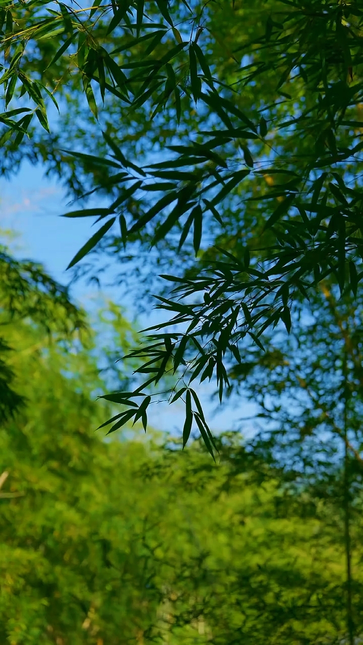 nature vibes