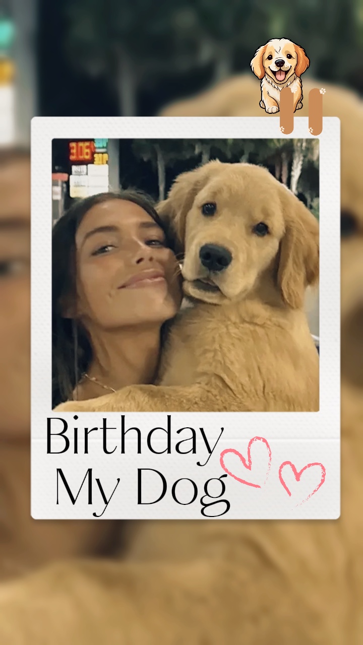 Birthday my dog