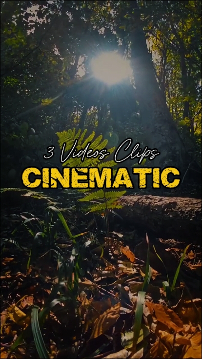3 Videos Clips