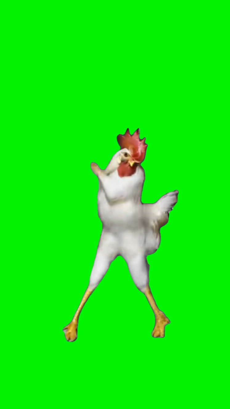 DANCING CHICKEN