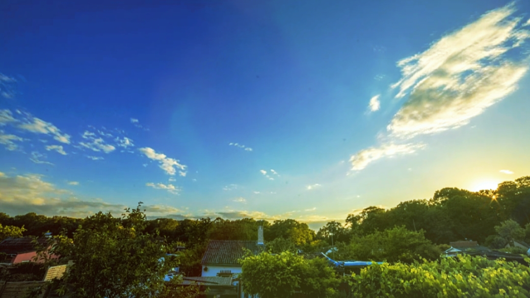 Landscape 5