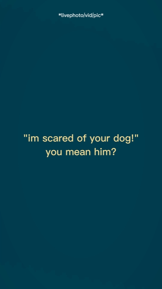 imscaredofyourdog