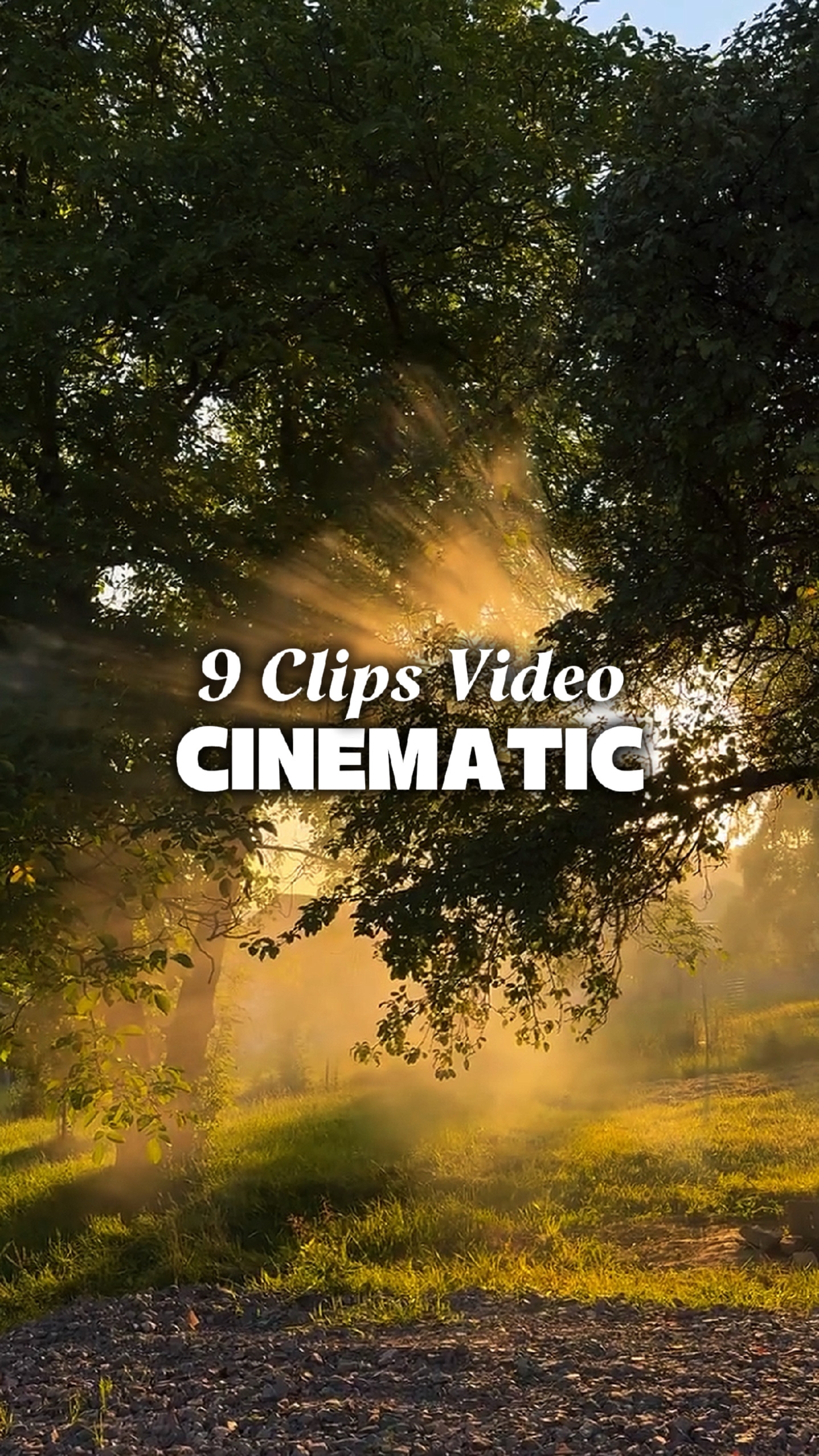 9 Clips Cinematic 