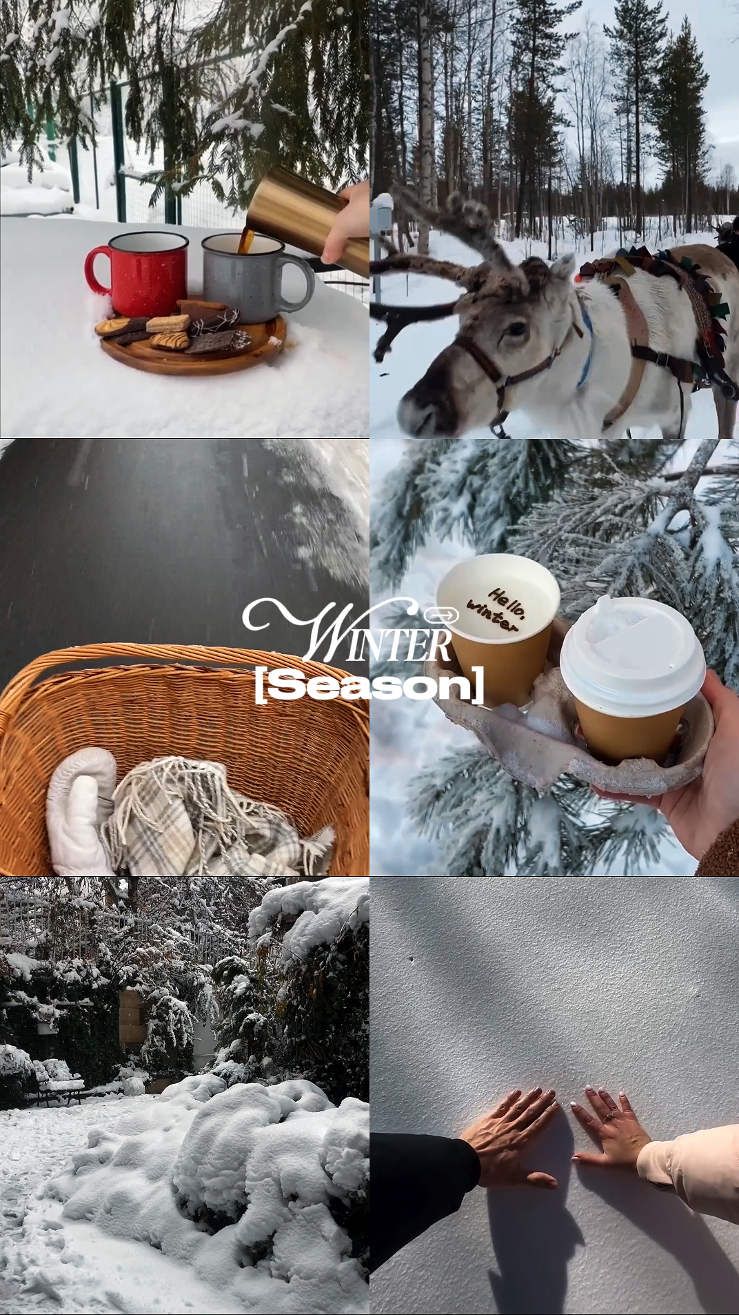 winter season 