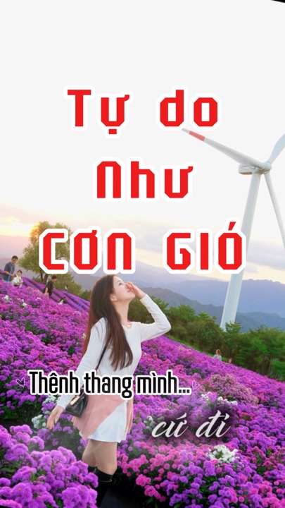 Tự do như cơn gió 27