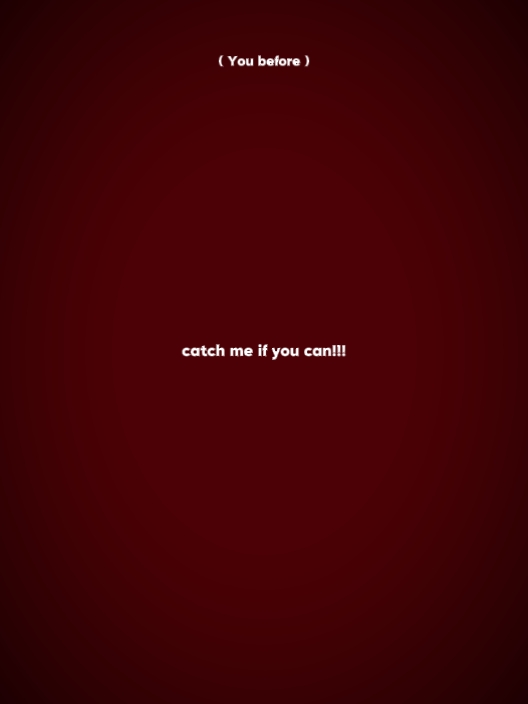 catch me if you can