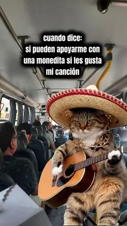 Gato con guitarra