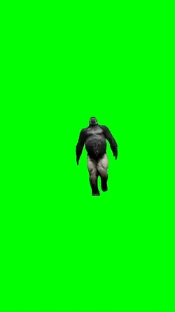 You dance