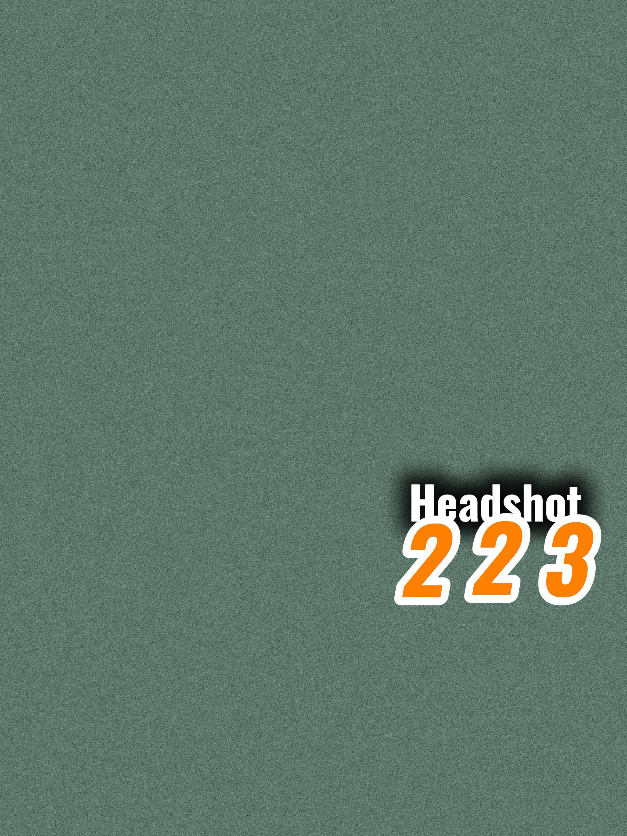 Headshot