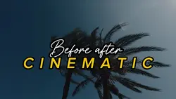 Before cinematic