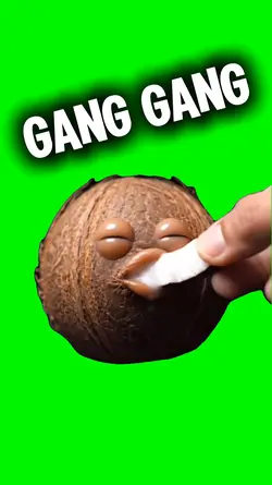 Gang Gang