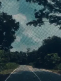 নিঃসঙ্গতা
