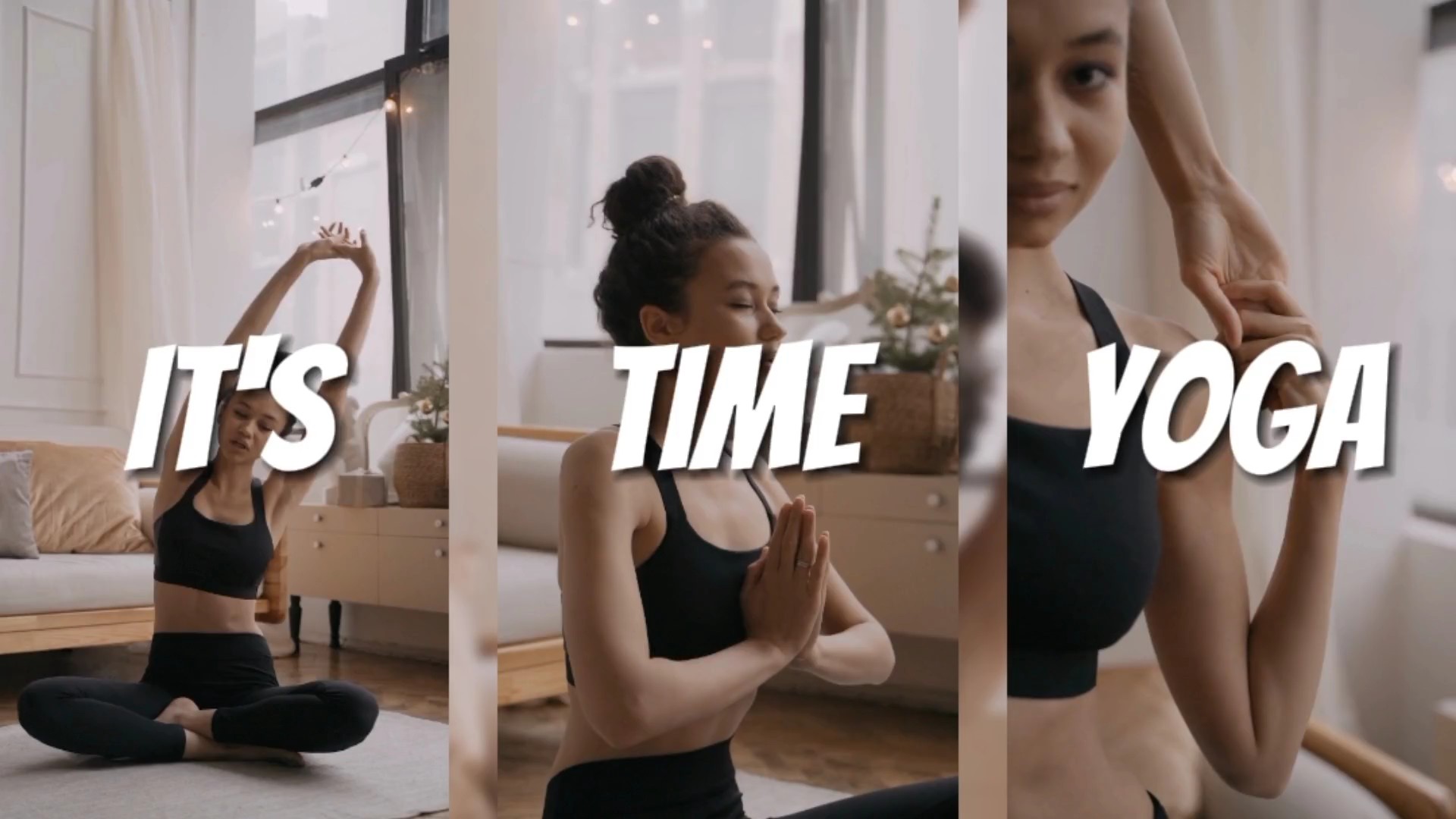 Fitness Intro