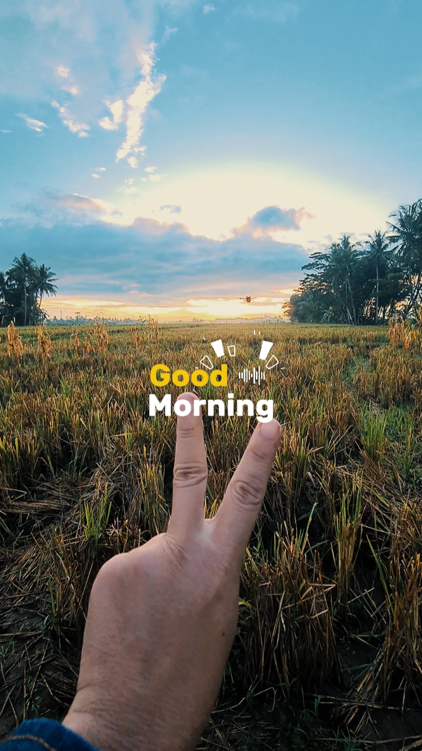 Bom Dia