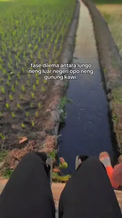 fase dilema antara l