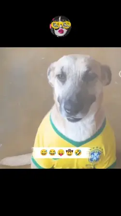Meme do caramelo