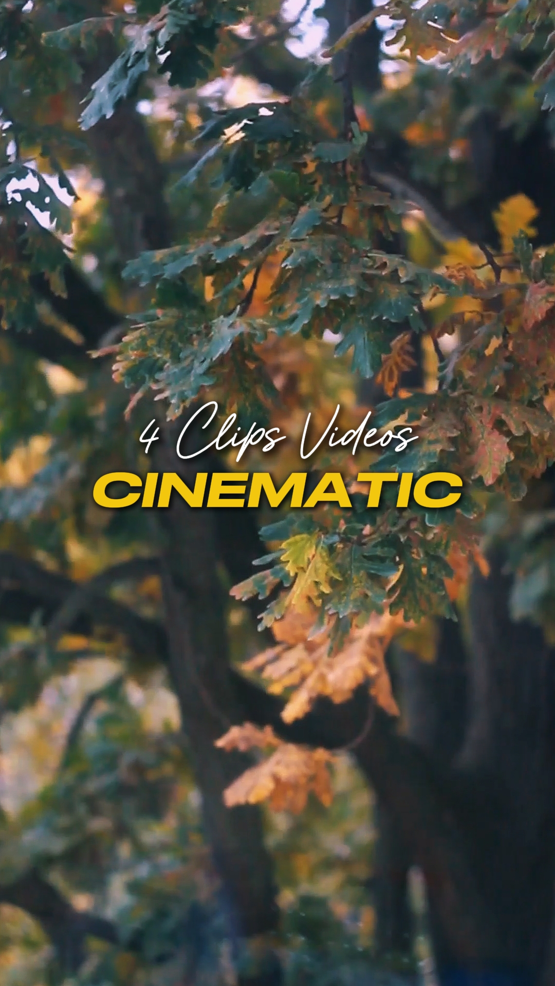Cinematic 4 Videos