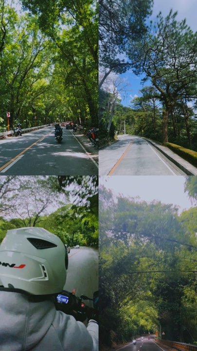 Viagem De Memórias