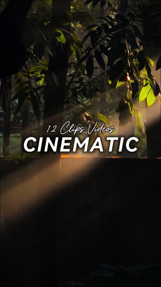 12 Clips Cinematic