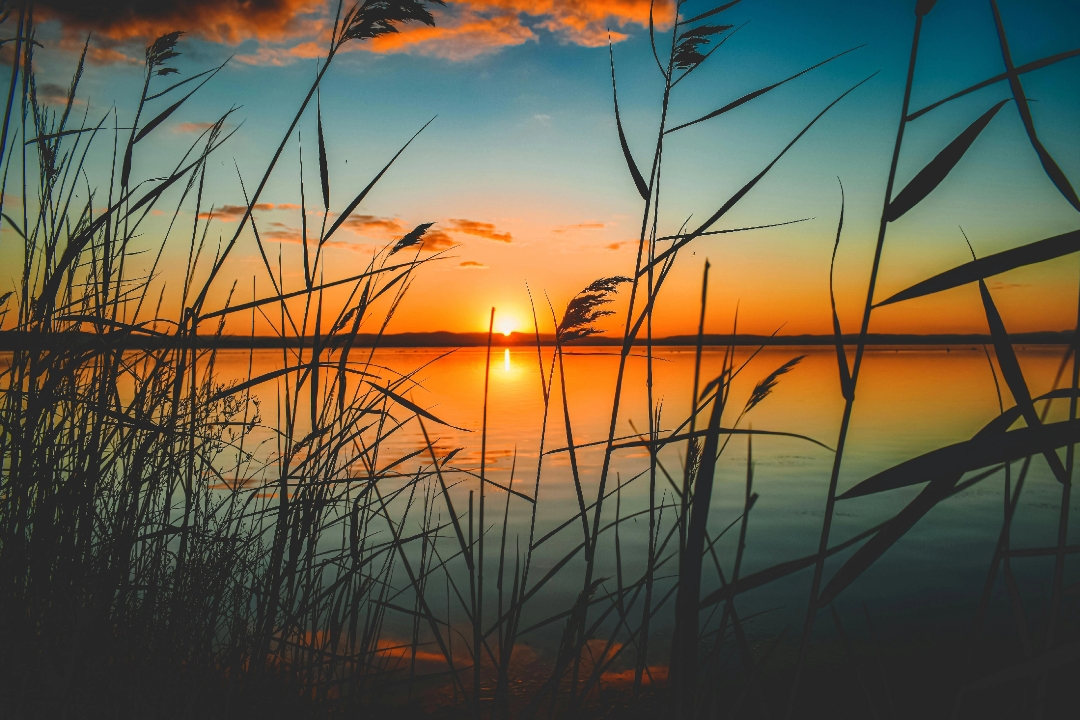 8 foto paisagem