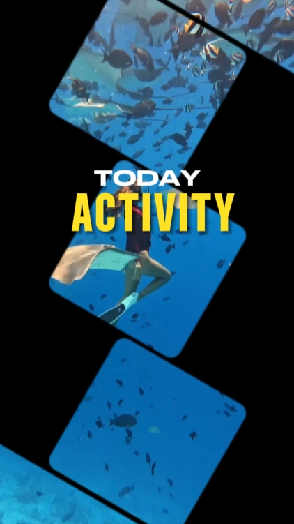 today activity