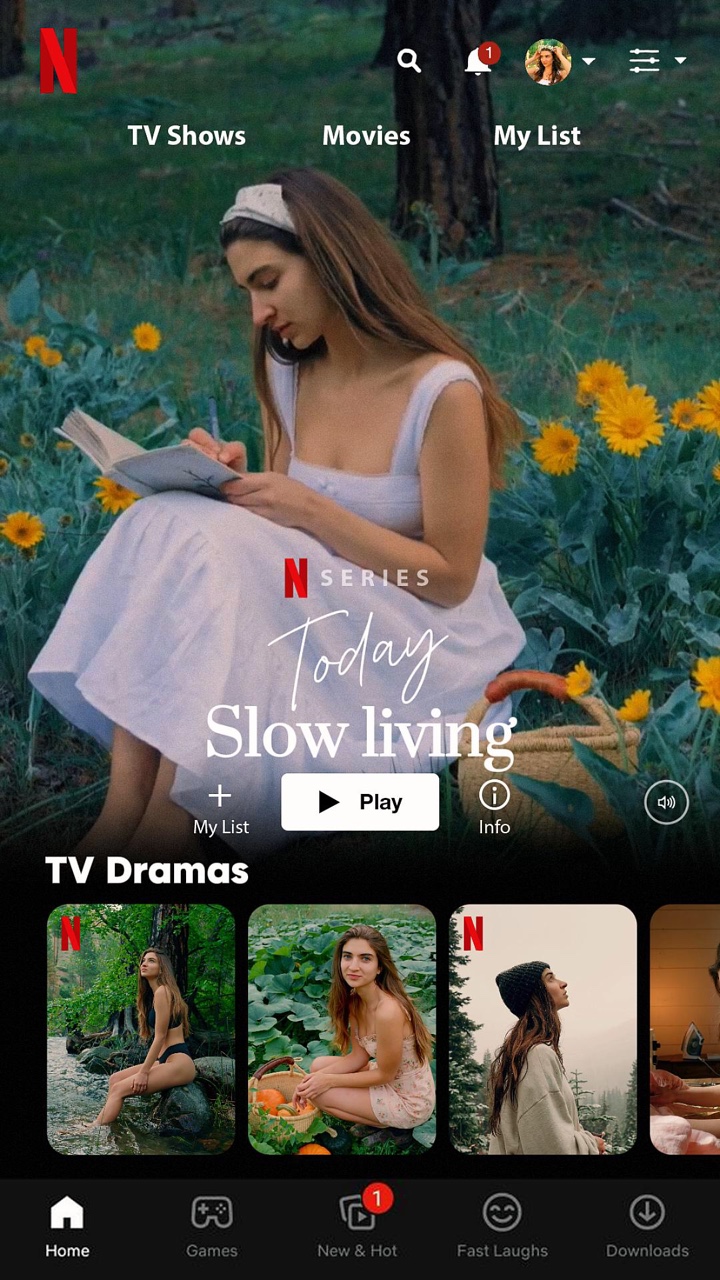Vlog Netflix Ver 2