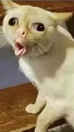 mana adaa Gopal gila