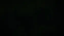 Instagram Trending 