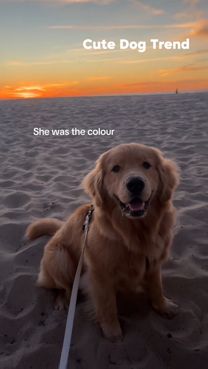 She was the colour