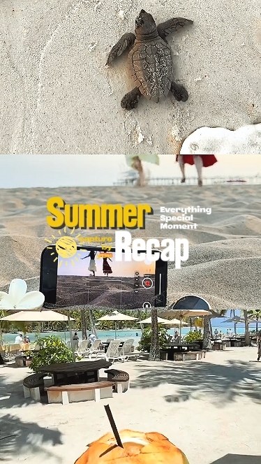 summer recap 