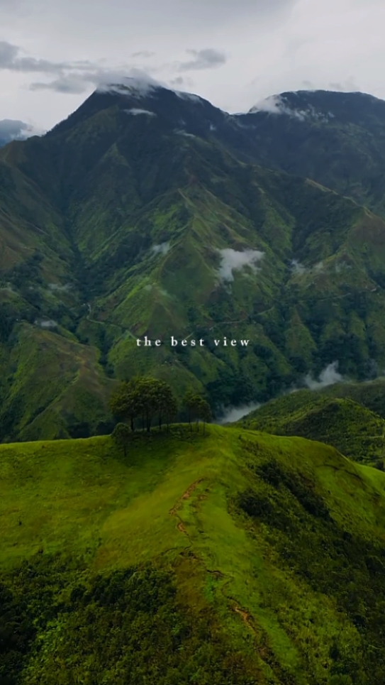 the best view
