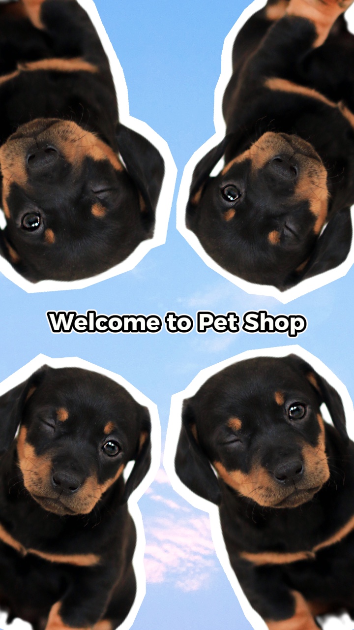 Funny Product Display for Pets TT Style