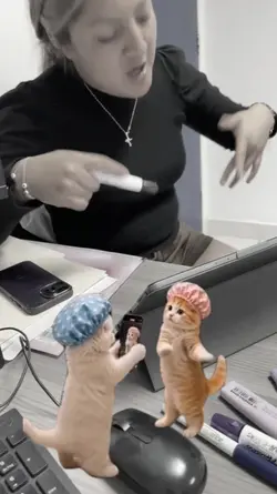 trend cat dance