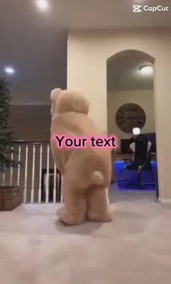 DANCING BEAR