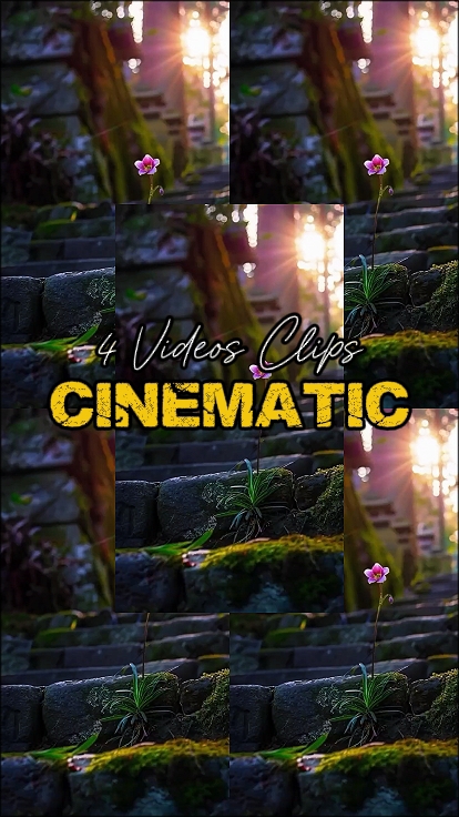 4 Videos Clips