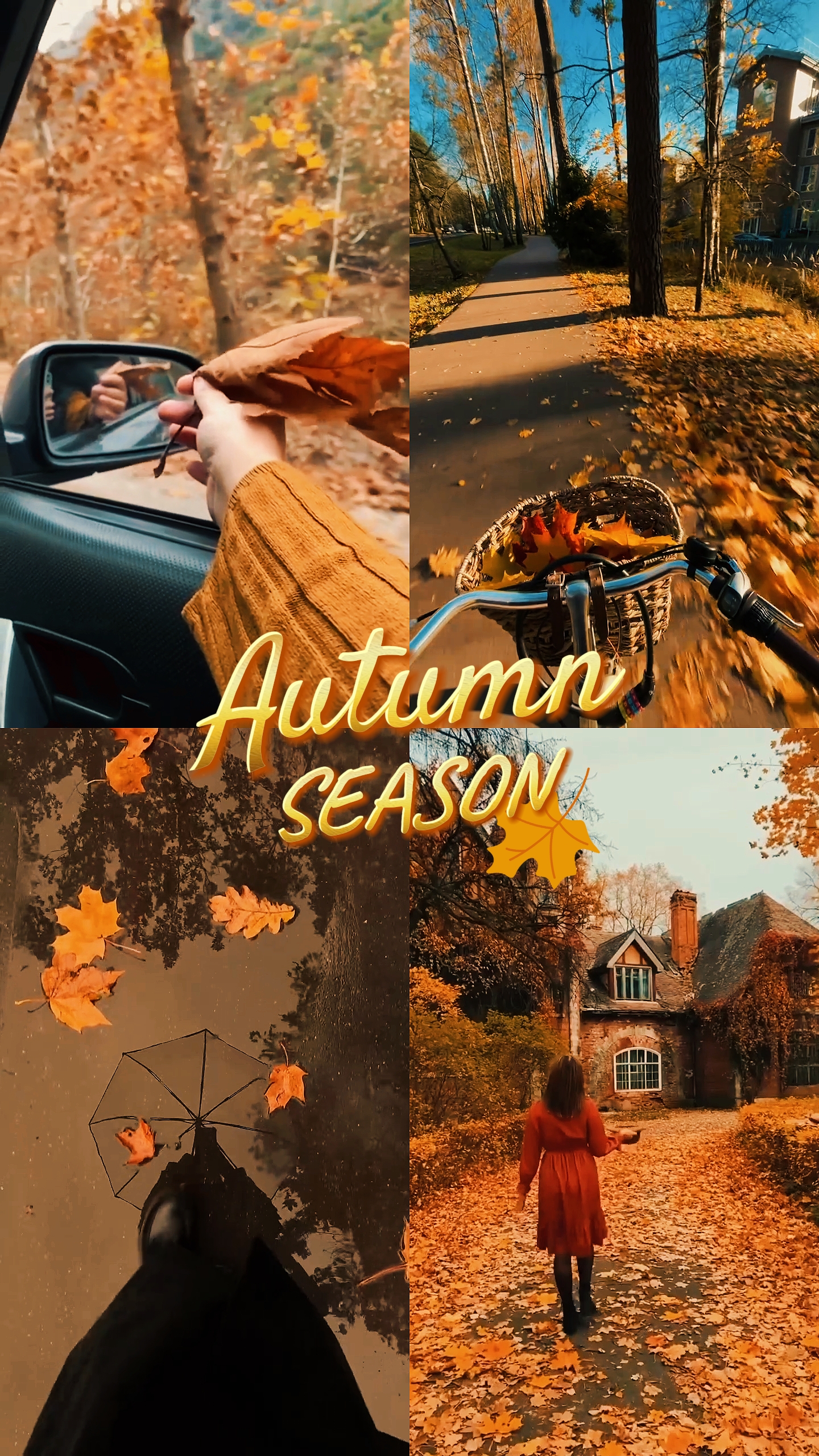 Autumn season 