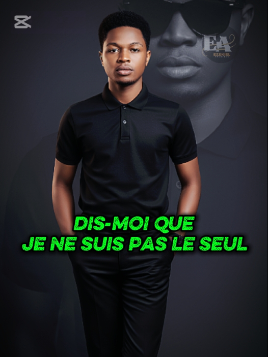 Stromae FORMIDABLE 