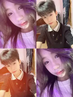 mẫu voi ny