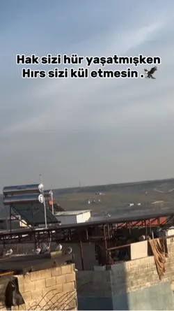 Racon şablonu 🦅