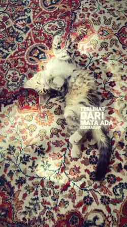 lyrics song