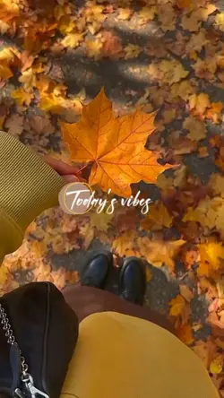 Today's vibes