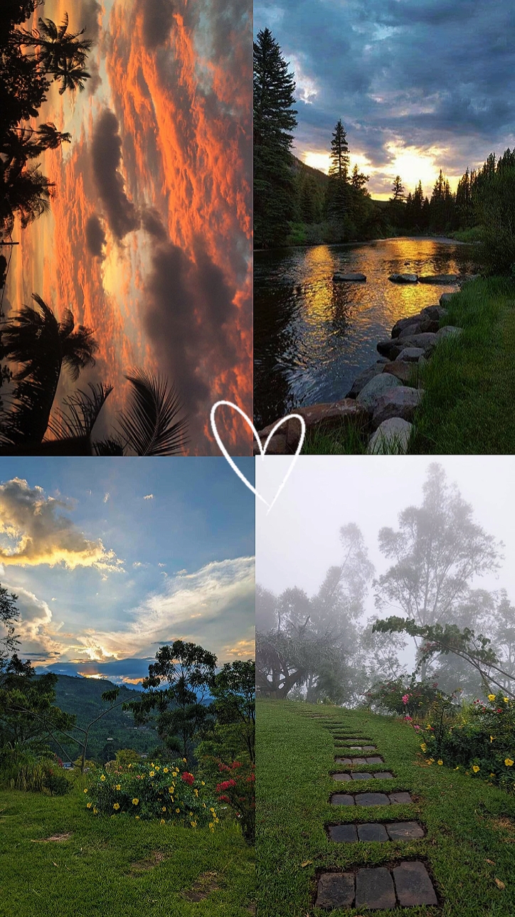 Naturaleza 