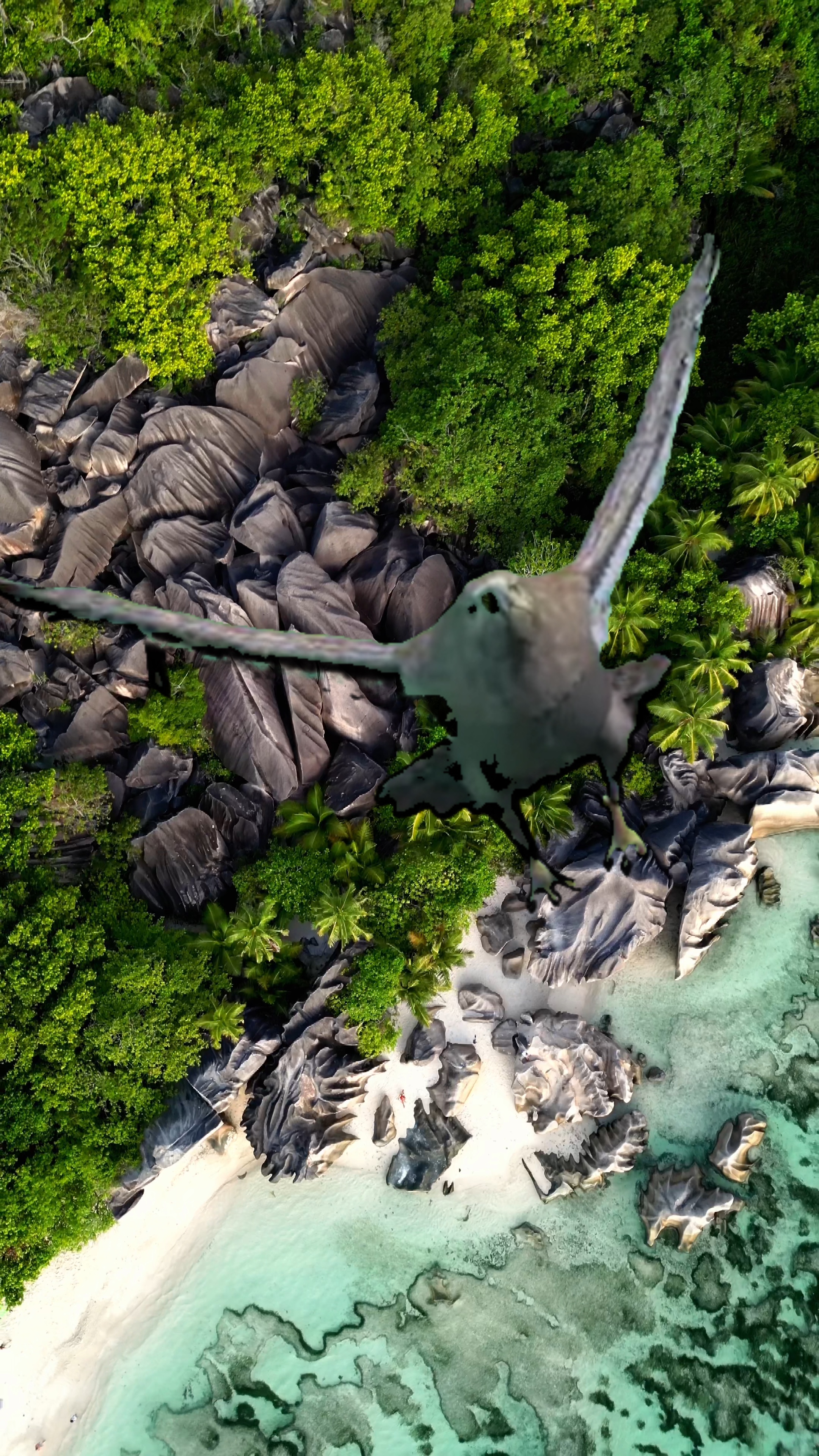 Flying Bird Travel