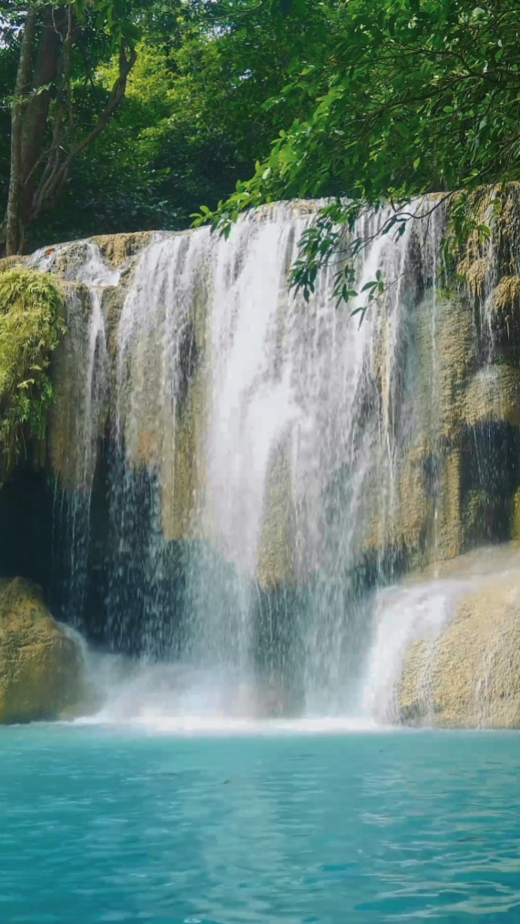 Naturaleza dan cascada