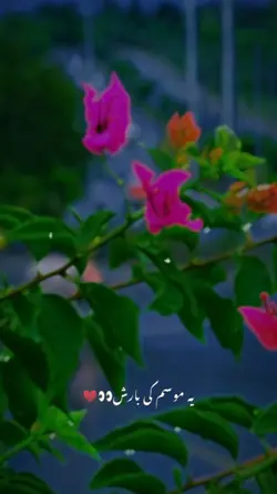 BARISH KA MOOSAM