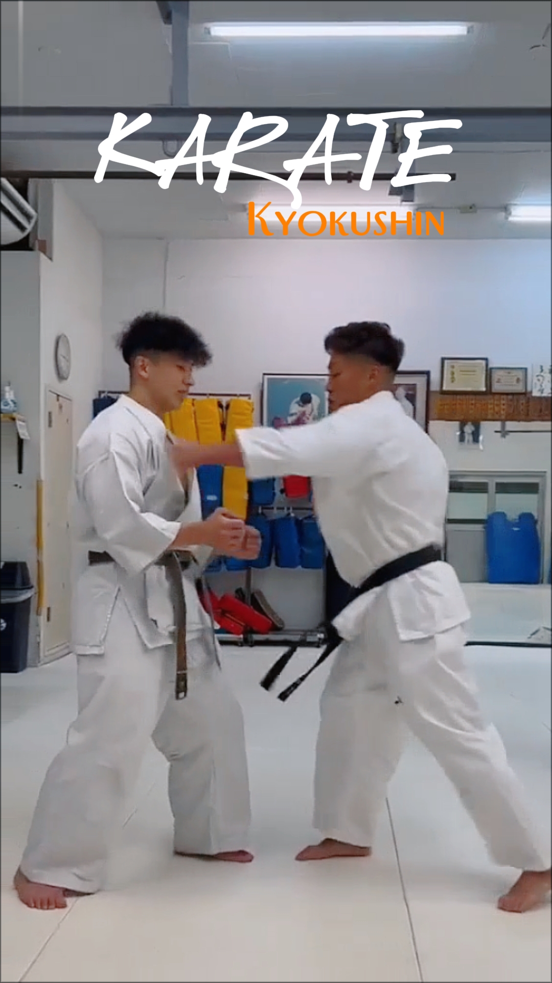 Karatê kyokushin
