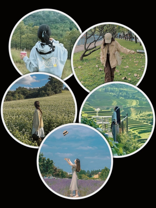 5Pic Clip Transition