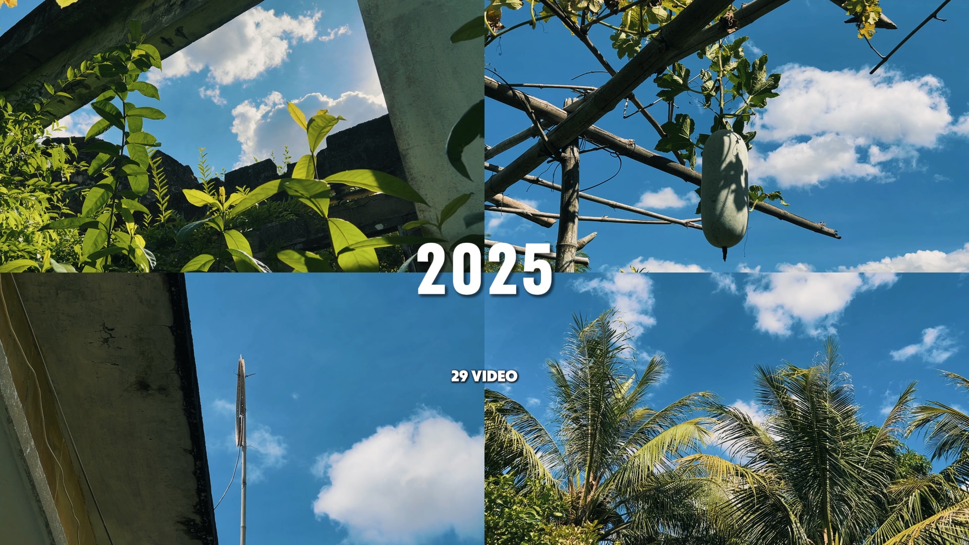 Vlog 2025